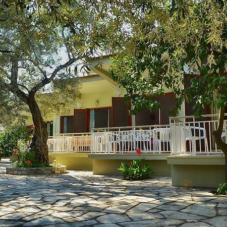 Guesthouse Irene Afissos Exterior foto