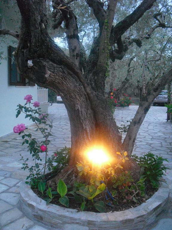 Guesthouse Irene Afissos Exterior foto