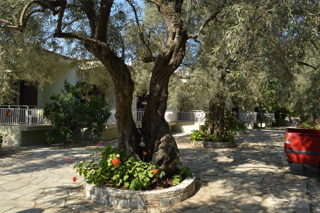 Guesthouse Irene Afissos Exterior foto